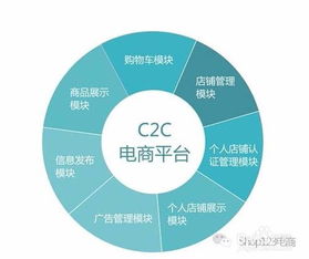 电子商务行业解析 定义、类型与核心模式